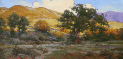 Canyon Oaks by Craig A. Pursley 